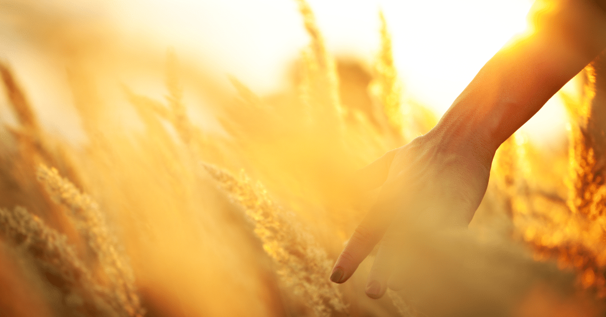 The Hidden Unchurched Harvest