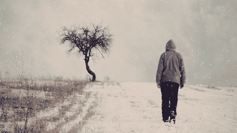 Winter solitude A solitary figure walks along a snow-covered path in a serene, snowy landscape. The person, dressed in winter attire, is accompanied by a small dog. A lone tree stands in the distance, adding to the sense of quiet and solitude.