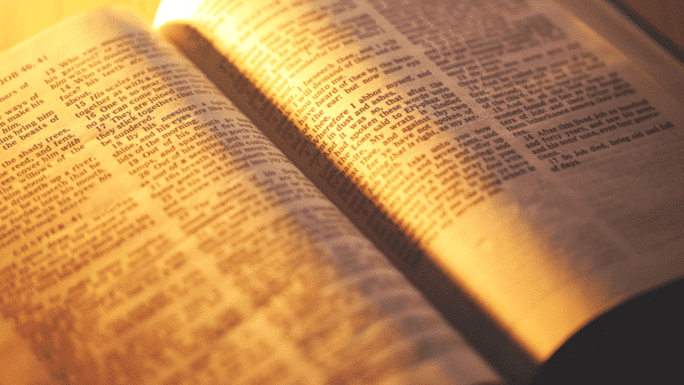 An open Bible with warm sunlight shining on its pages. Church Equip. The Truth About the Bible's Most Popular Verses 
